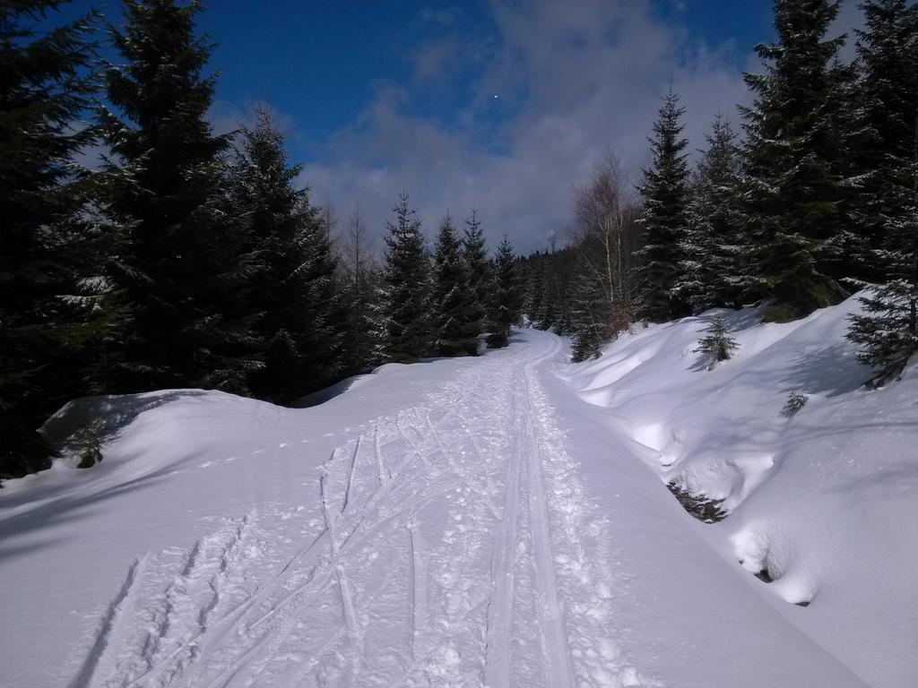 Pension & Restaurant Krakonos Harrachov Εξωτερικό φωτογραφία